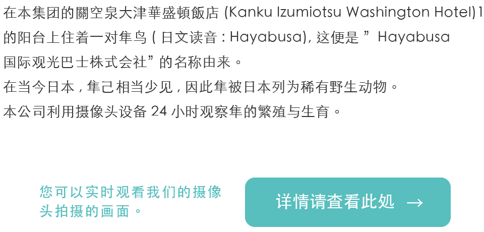 详情请査看此処